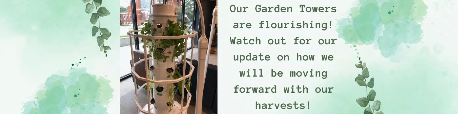 Our garden tower is growing. This shows our hydroponic garden with green flourishes